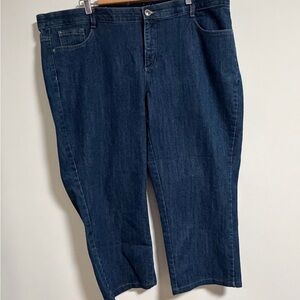 Just My Size Classic Blue Denim Women's Jeans 20W Short